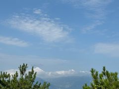 -武陵山森林公园