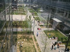 -首都医科大学附属北京天坛医院