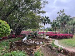 -深圳龙潭公园