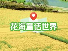 -安仁古镇