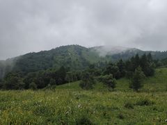 -驼梁风景区
