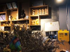 -梵猫·新养生(湛江鼎盛店)