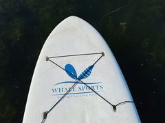 -WhaleSports户外水上运动俱乐部(朝阳公园店)