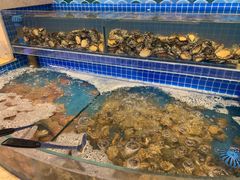 水产区-乔哥铭洋海鲜自助(皇城恒隆广场店)