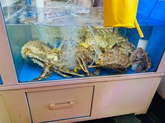 -真情鲍鱼海鲜汤
