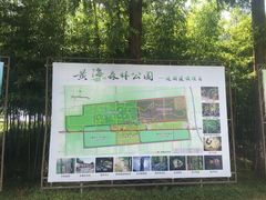 -黄海国家森林公园