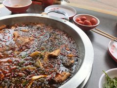 -蜀滋香鲜鱼美蛙火锅(339店)