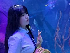 -沈阳海洋探索中心