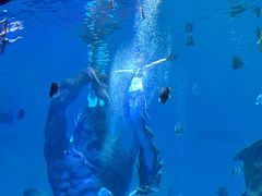 -波塞冬旅游度假区