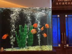 -怡咖啡自助餐(宁波香格里拉店)