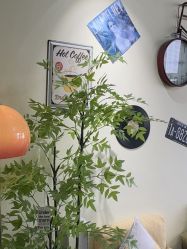 -变美丽半永久纹眉连锁·机器野生眉•洗眉