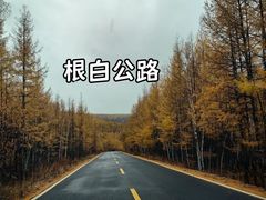 -呼伦贝尔大草原