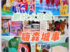 -鹏欣水游城