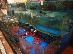 -AEON永旺(东方宝泰店)