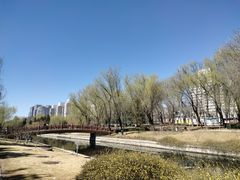 -元大都城垣遗址公园