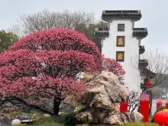 -无锡蠡湖国家湿地公园-蠡园