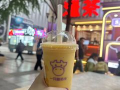 -一只酸奶牛(八一路店)