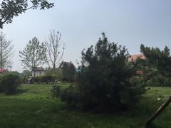 -武清南湖绿博园