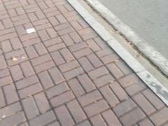 -北京九华山庄会展酒店