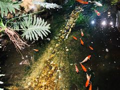 -聚缘堂·海鲜私房菜(松岭路店)