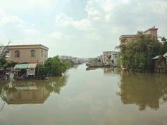 android_upload_pic-海鸥岛