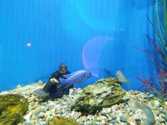 -华夏文旅海洋公园