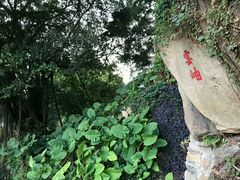 -乌山风景区