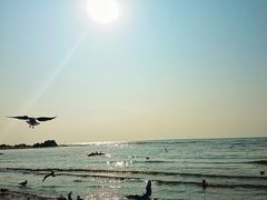 -老虎石海上公园