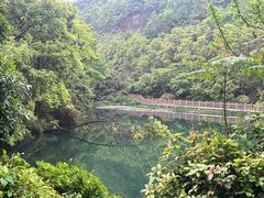 -桃花岭景区
