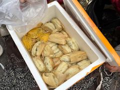 -大连天门山国家森林公园