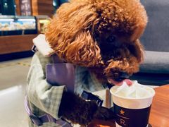 -星巴克臻选(广州二沙岛文立方店)