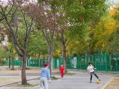 -新江湾城公园