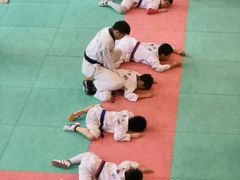-武术世家少儿培训中心(首都体育学院店)
