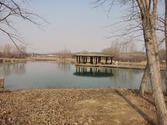 -淇河国家湿地公园