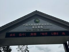 -中国大熊猫保护研究中心雅安碧峰峡基地