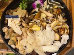 野生菌拼盘-一朵菌·野生菌探索家火锅(南亚店)