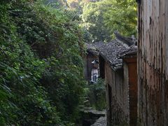 -杨家堂村