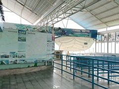 -放鸡岛生态旅游国际度假区