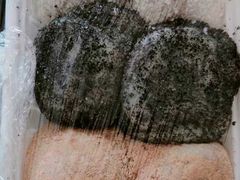 -南大门韩国米糕(公滨路店)