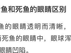 -华盛丰温州大排档(东三环南路店)