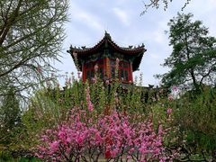 -宣武艺园