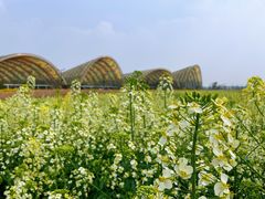 -中国天府农业博览园