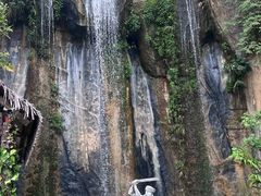 -西双版纳原始森林公园