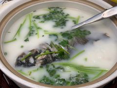 -紫藤园·天目湖大鱼头(南山竹海店)