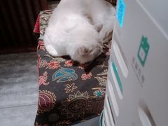-花间小酌火锅小酒馆(吕四店)