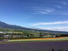-富田农场