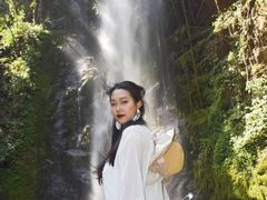 -莫里热带雨林景区