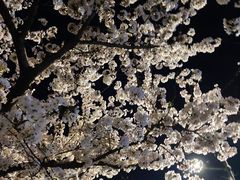 -龙美术馆(西岸馆)