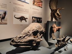 -自贡恐龙博物馆