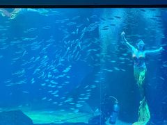 -海合安成都极地海洋公园